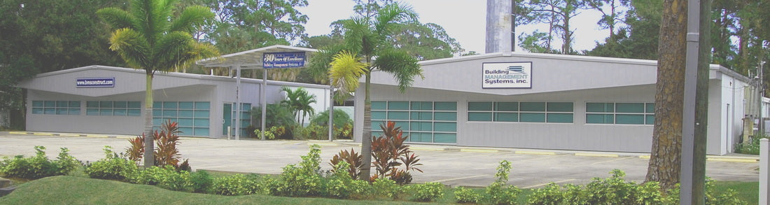A low-rise commercial building with white walls, teal window trim, and a landscaped front yard with palm trees and shrubs.